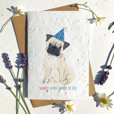 Cute Tan Pug