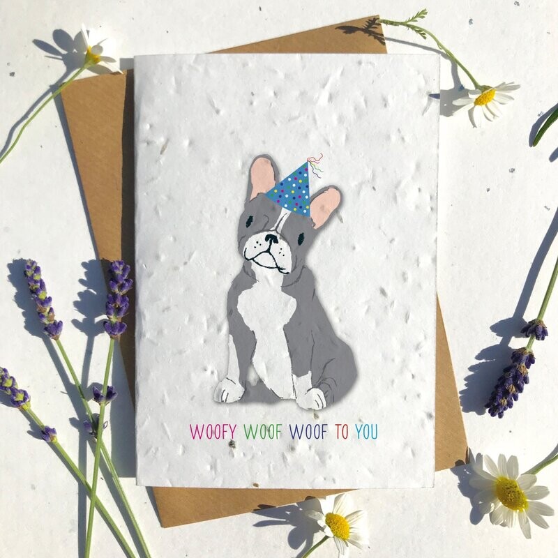 Cute Grey Frenchie