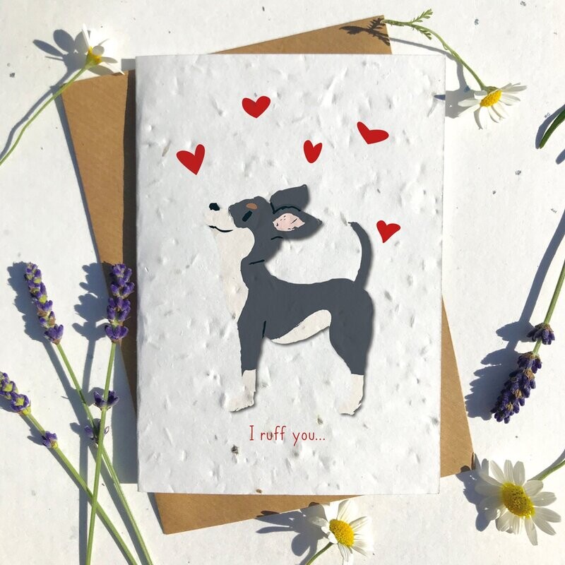 Black Chihuahua Valentines