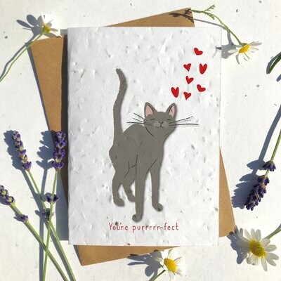 Grey Shorthaired Cat Valentines