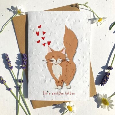 Ginger Ragdoll Cat Valentines