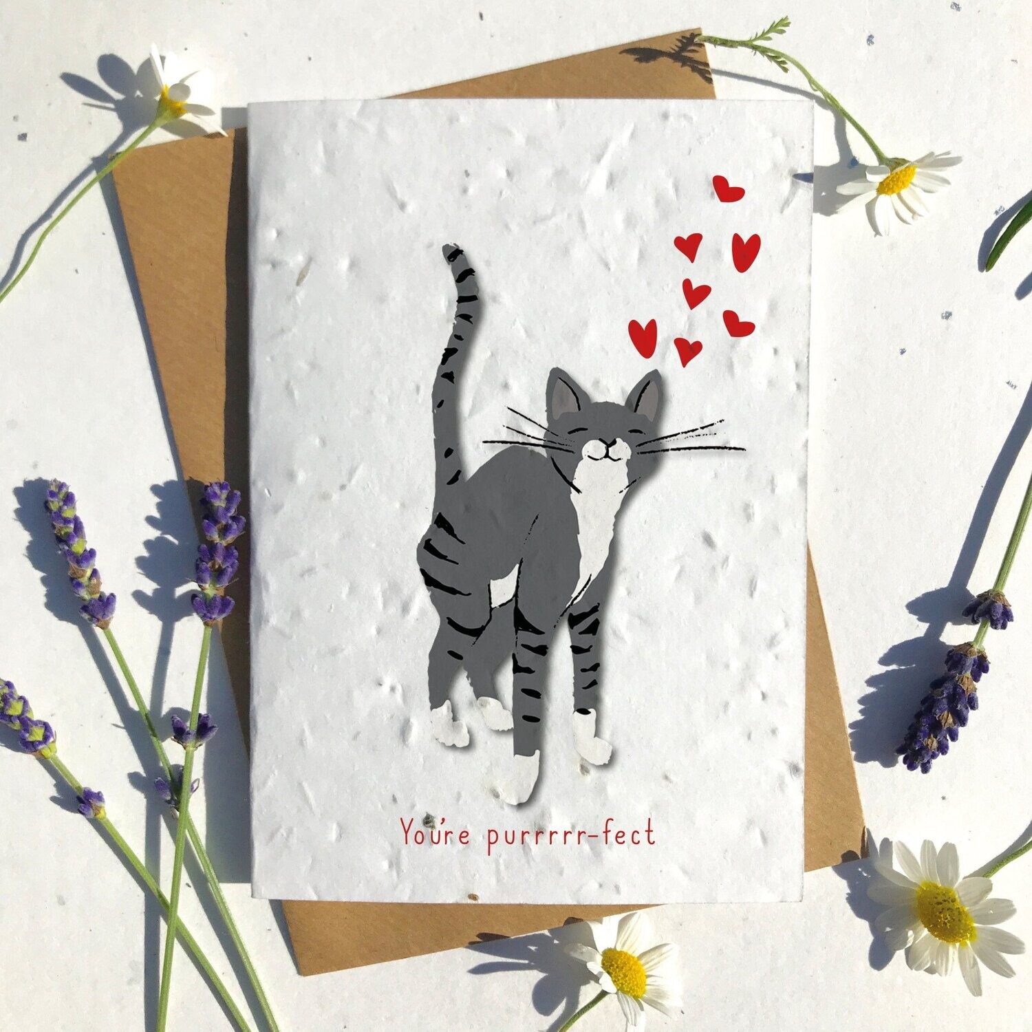 Black and white Cat Valentines