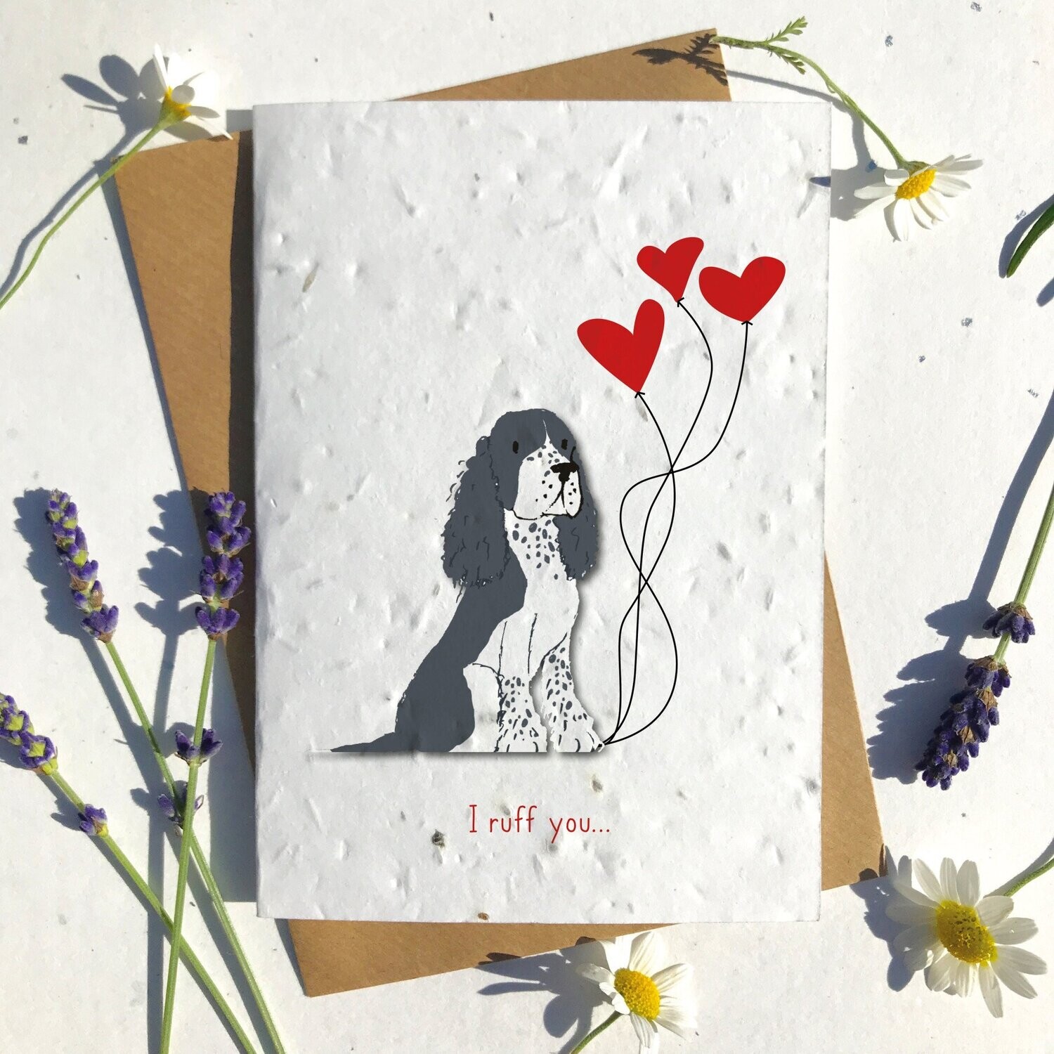 Black and white Collie Dog Valentines