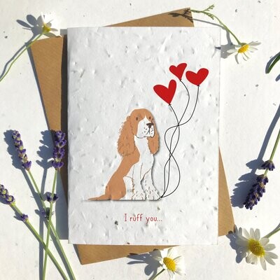Brown and white Collie Dog Valentines
