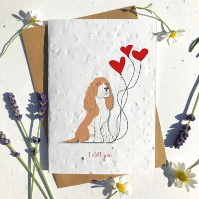 Brown and white Collie Dog Valentines Brown and white Collie Dog Valentines