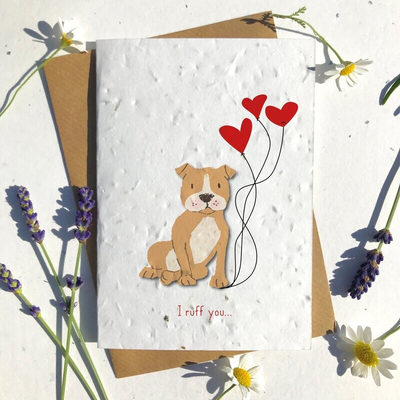 Staffy Brown Valentines
