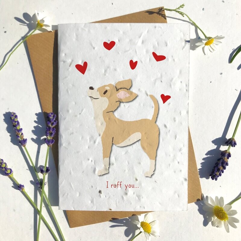 Light Brown Tan Chihuahua Valentines