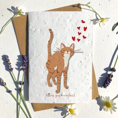 Ginger Shorthaired Cat Valentines