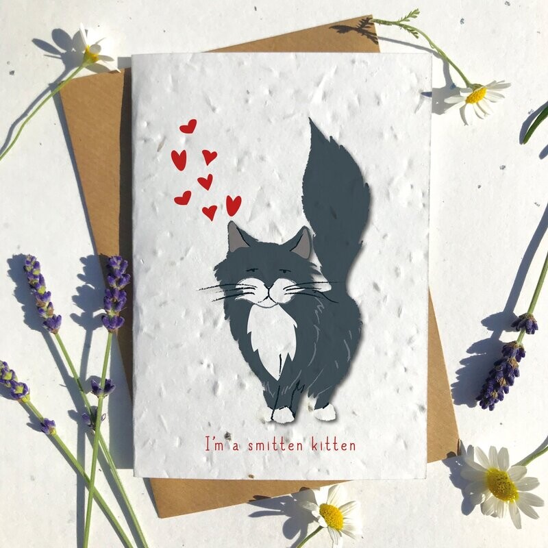 Black Ragdoll Cat Valentines