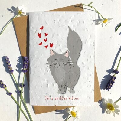Grey RagdolL Cat Valentines