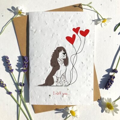 Dark Brown and white Collie Dog Valentines