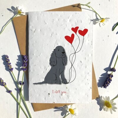 Black Collie Dog Valentines