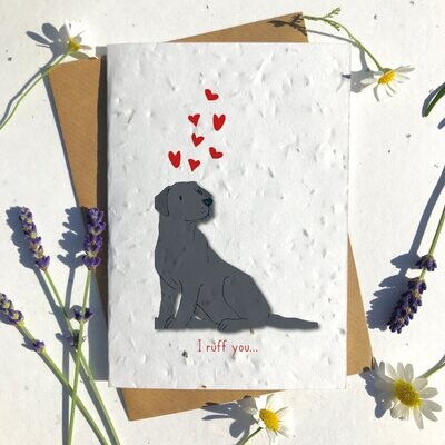 Black Labrador Dog Valentines