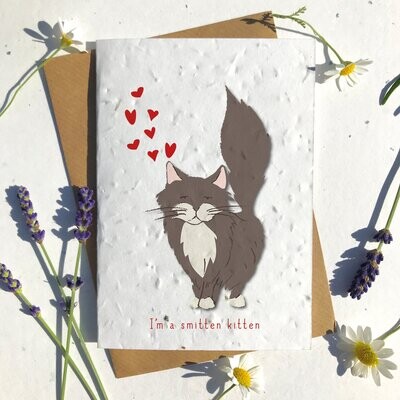 Brown Ragdoll Cat Valentines