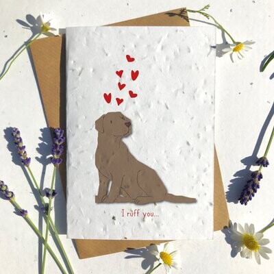 Chocolate Labrador Dog Valentines