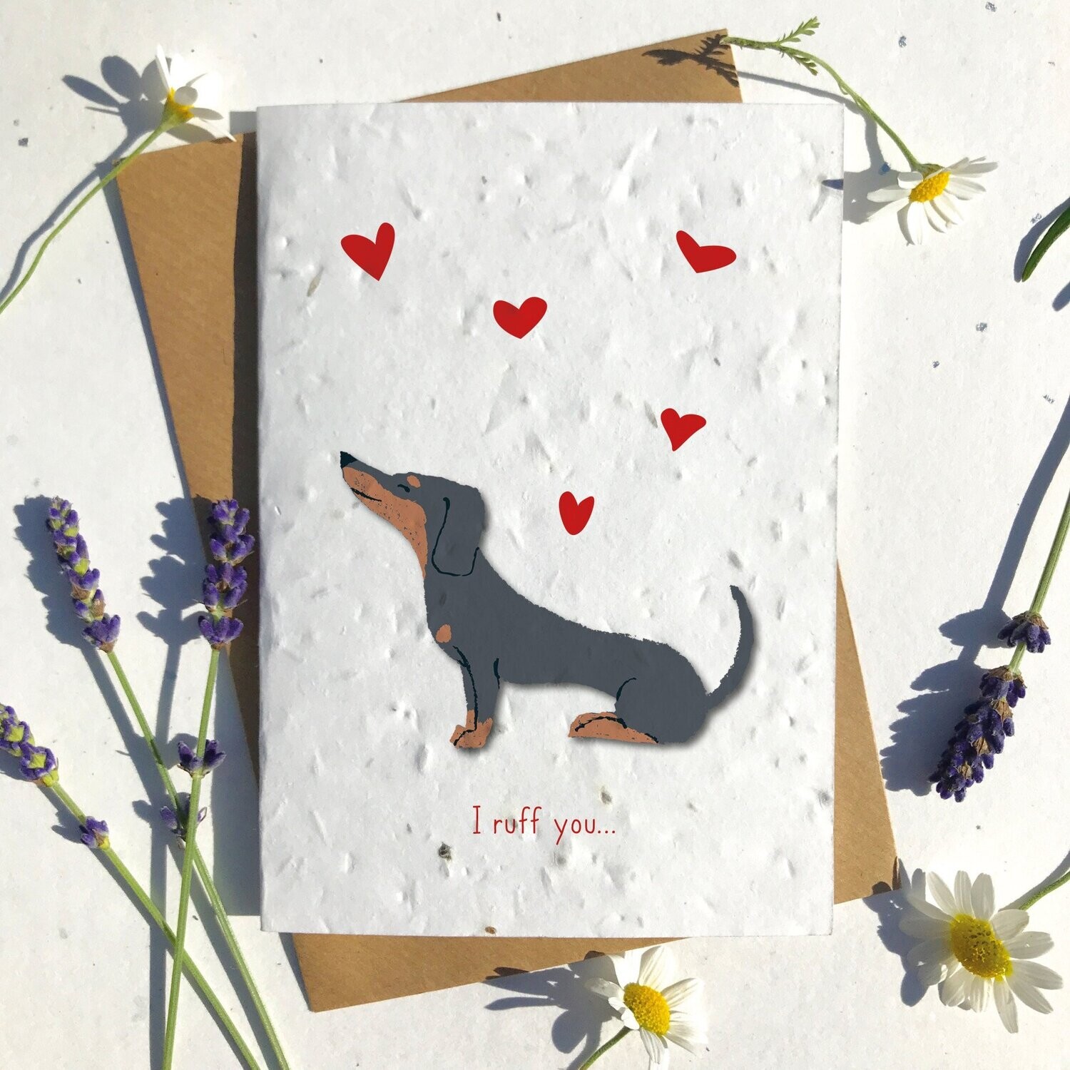 Dachshund Valentine?