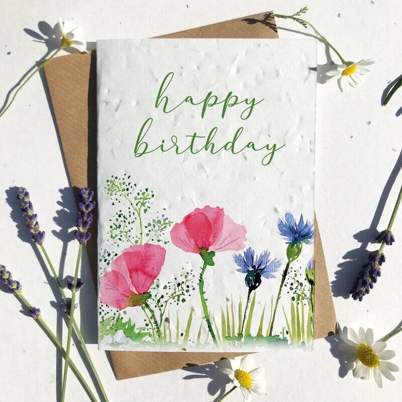 Happy Birthday Cornflower Poppy