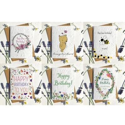 Birthday seed cards mixed pack 1