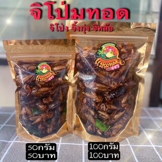 จิโป่มทอด จิหล๊อ จิ้งก่ง จิโป่ง แมลงทอดซู่ซ่า