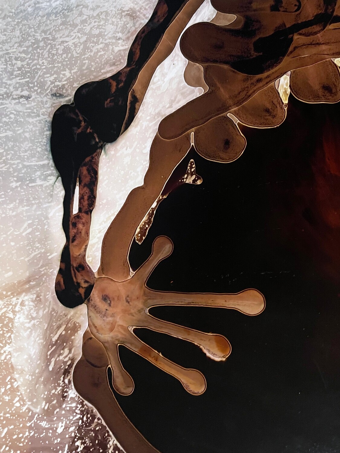 Jose Tonito Original painting on paper.The Gift.Large 24x36 inches.Bio-Surrealism.Unique organic art