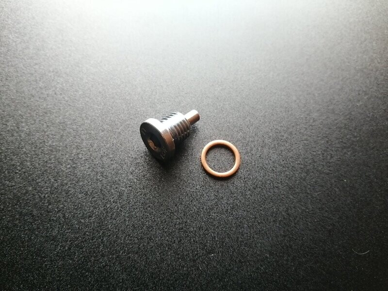 Magnetschraube mit Dichtring
