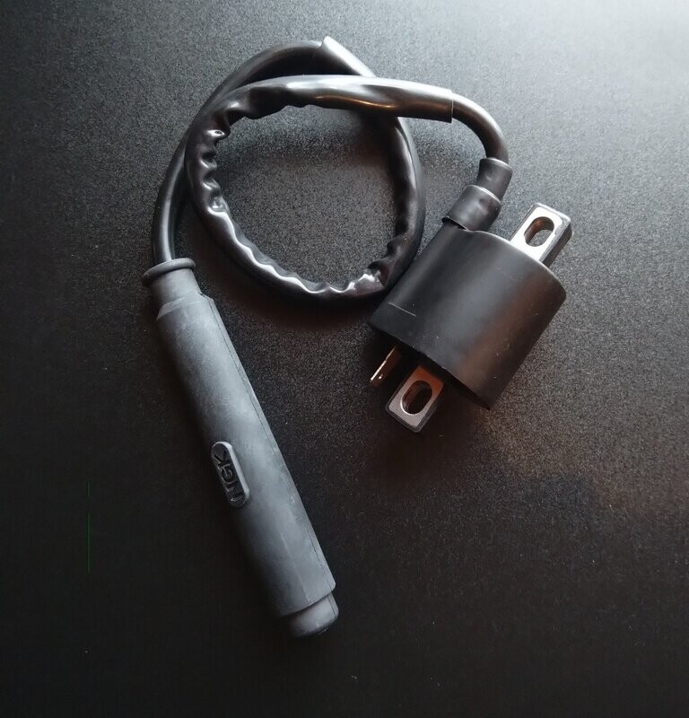 Zündspule und Kerzenstecker