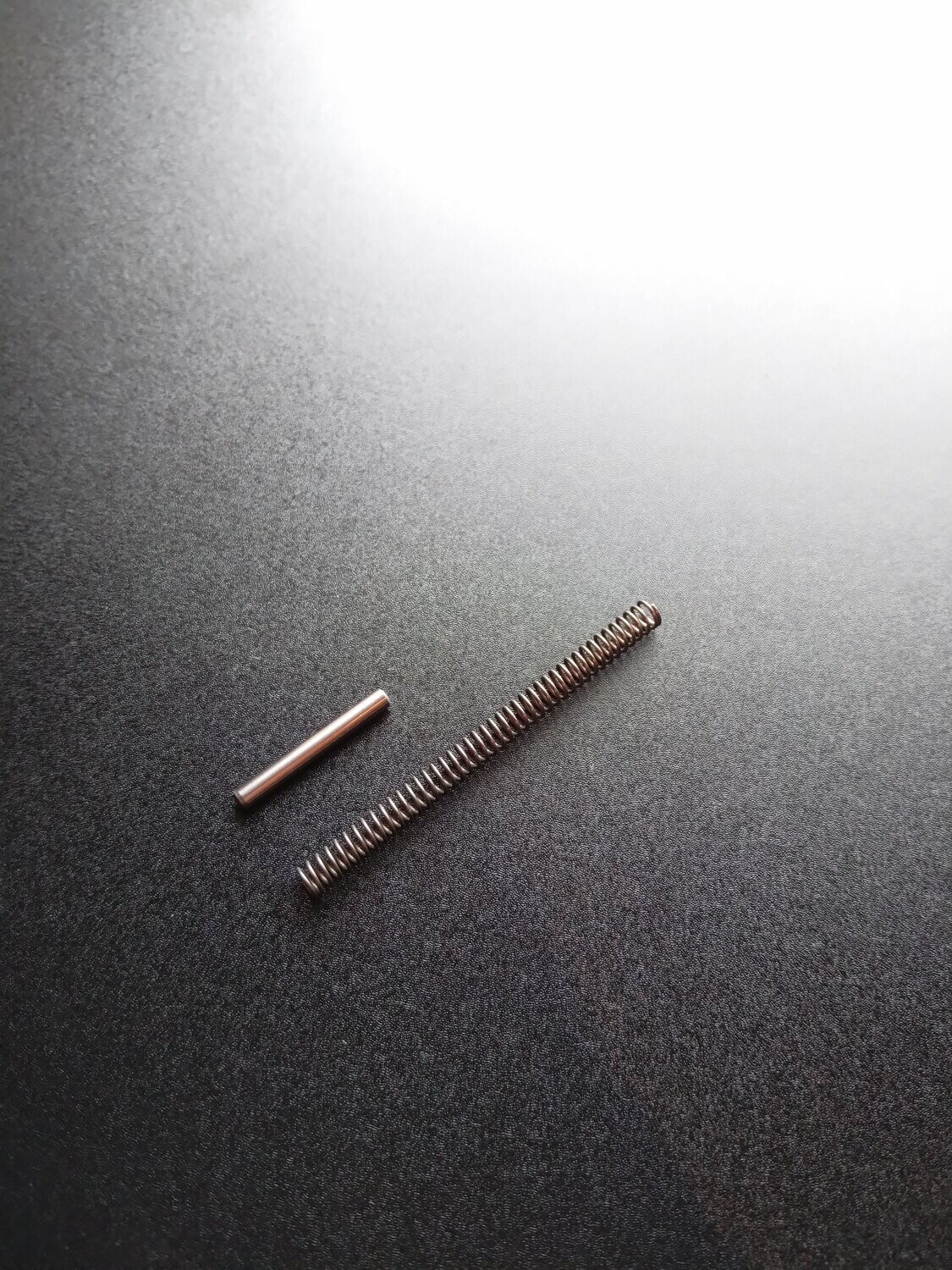Set Feder und Stift Steuerkettenspanner