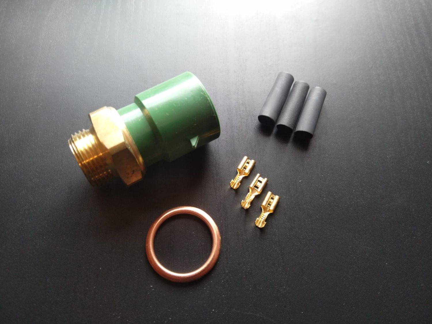 Thermoschalter (für Ausführung MIT Kompaktstecker)