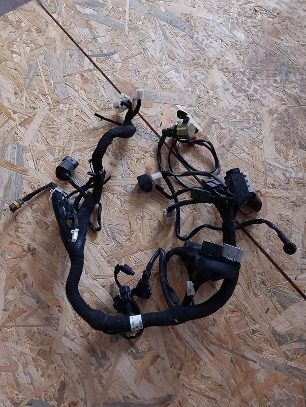 Kabelbaum Brixton Rayburn 125, gebraucht