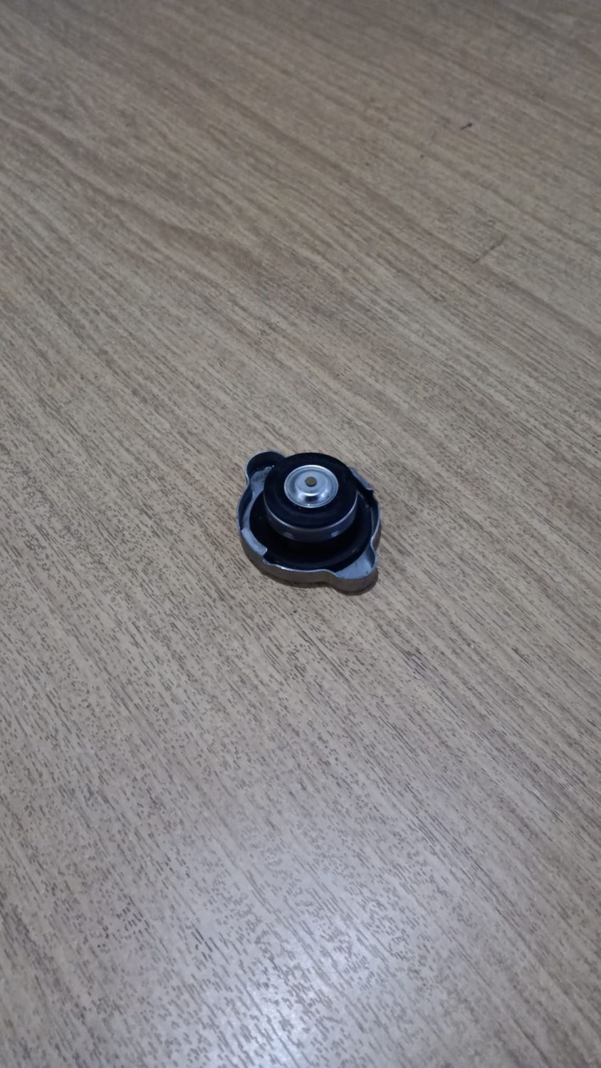 Kühlerdeckel Kawasaki Z900 490850006