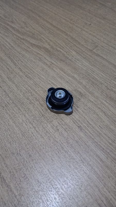 Kühlerdeckel Kawasaki Z900 490850006