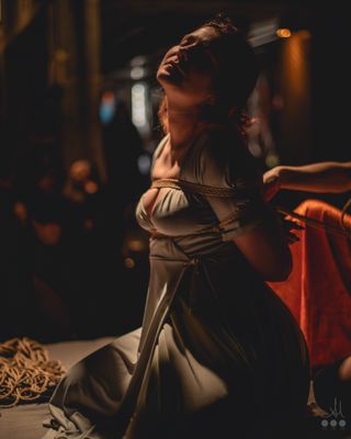 Private Tuition & Shibari Training