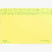 TIDY FILES LIGHT WEIGHT FOLDER 074001