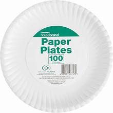 PAPER PLATES (100)