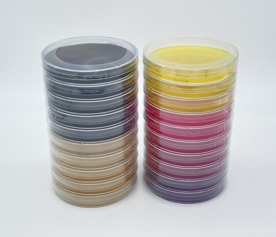 10 Wumbo-Recipe Pre-Pour Sorghum Syrup Agar Plates (90mm)