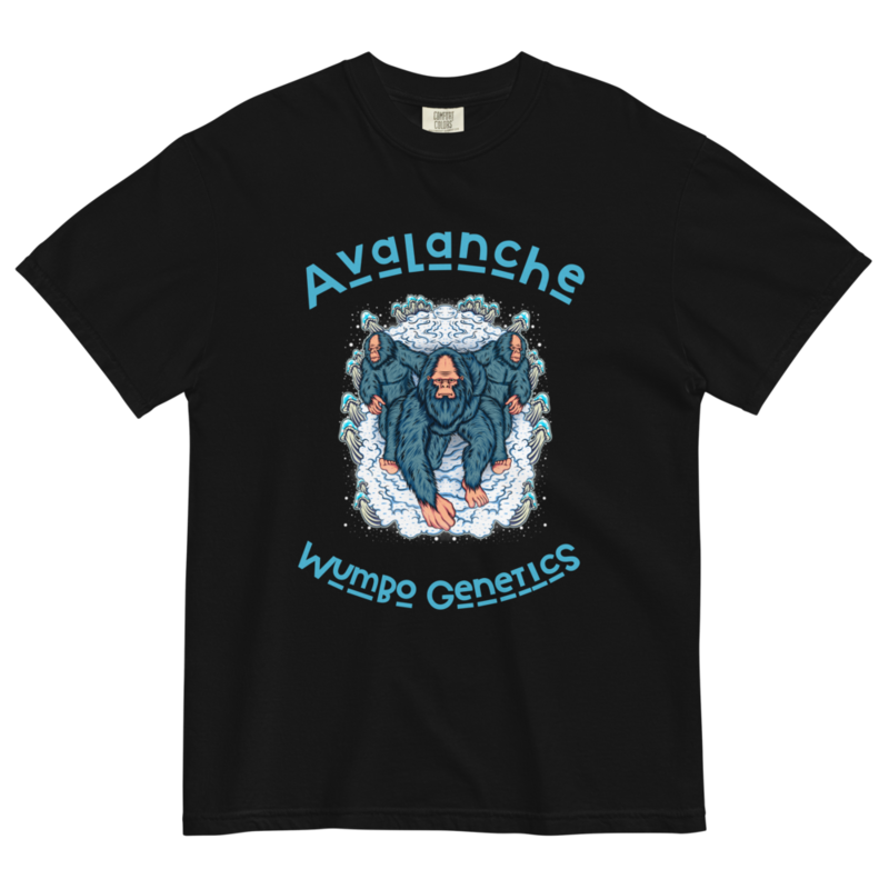 Avalanche snow monster heavyweight t-shirt