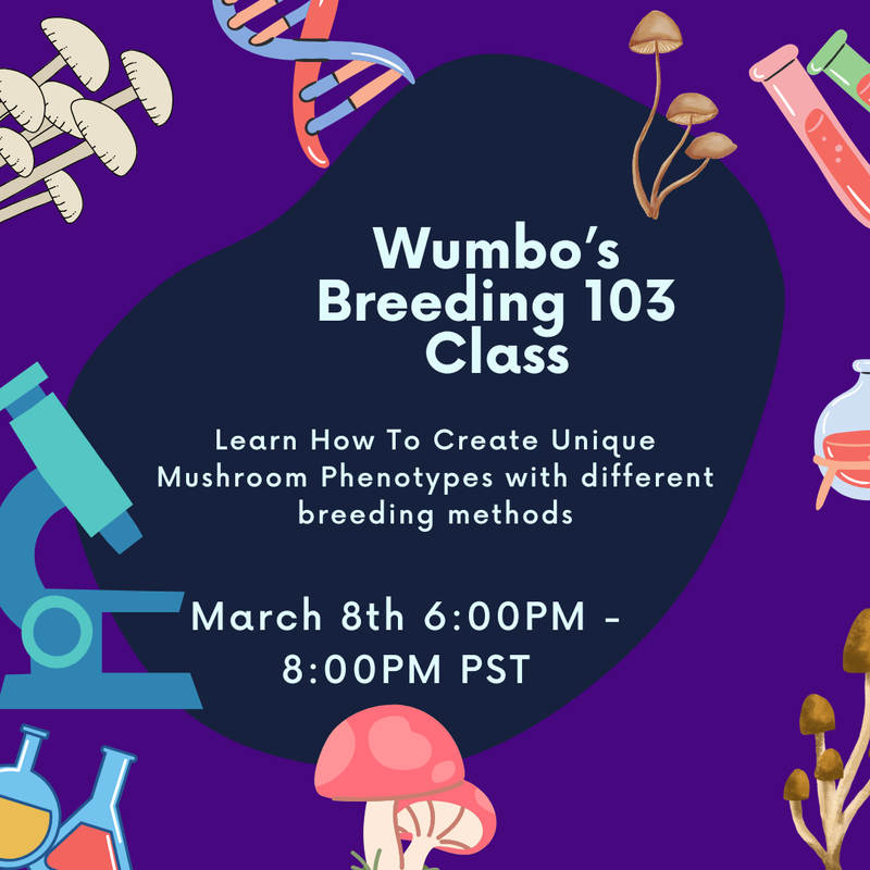 Breeding 103 Step-by-Step Guide on Different Breeding Techniques Video Download