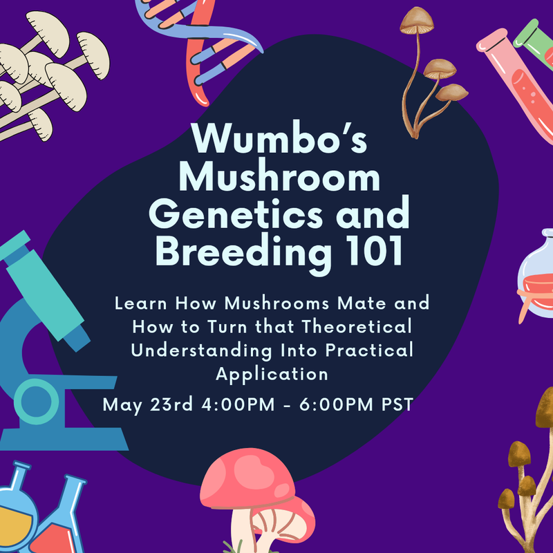 Breeding 101 How mushrooms mate Live Class
