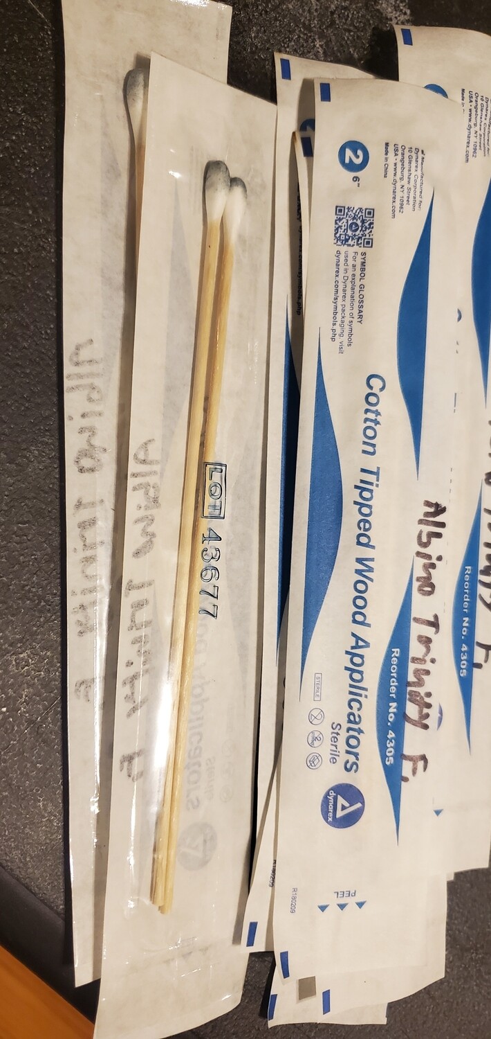 Swab (pack of 2)