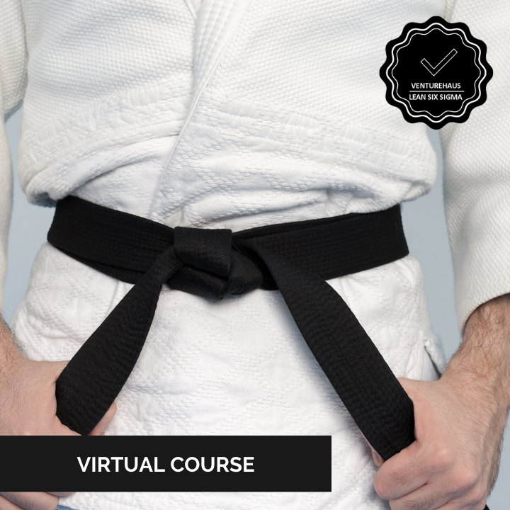 Lean Six Sigma Black Belt Course by Venturehaus™