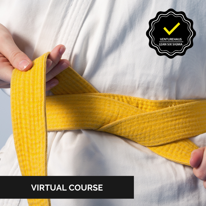 Lean Six Sigma Yellow Belt Course by Venturehaus™