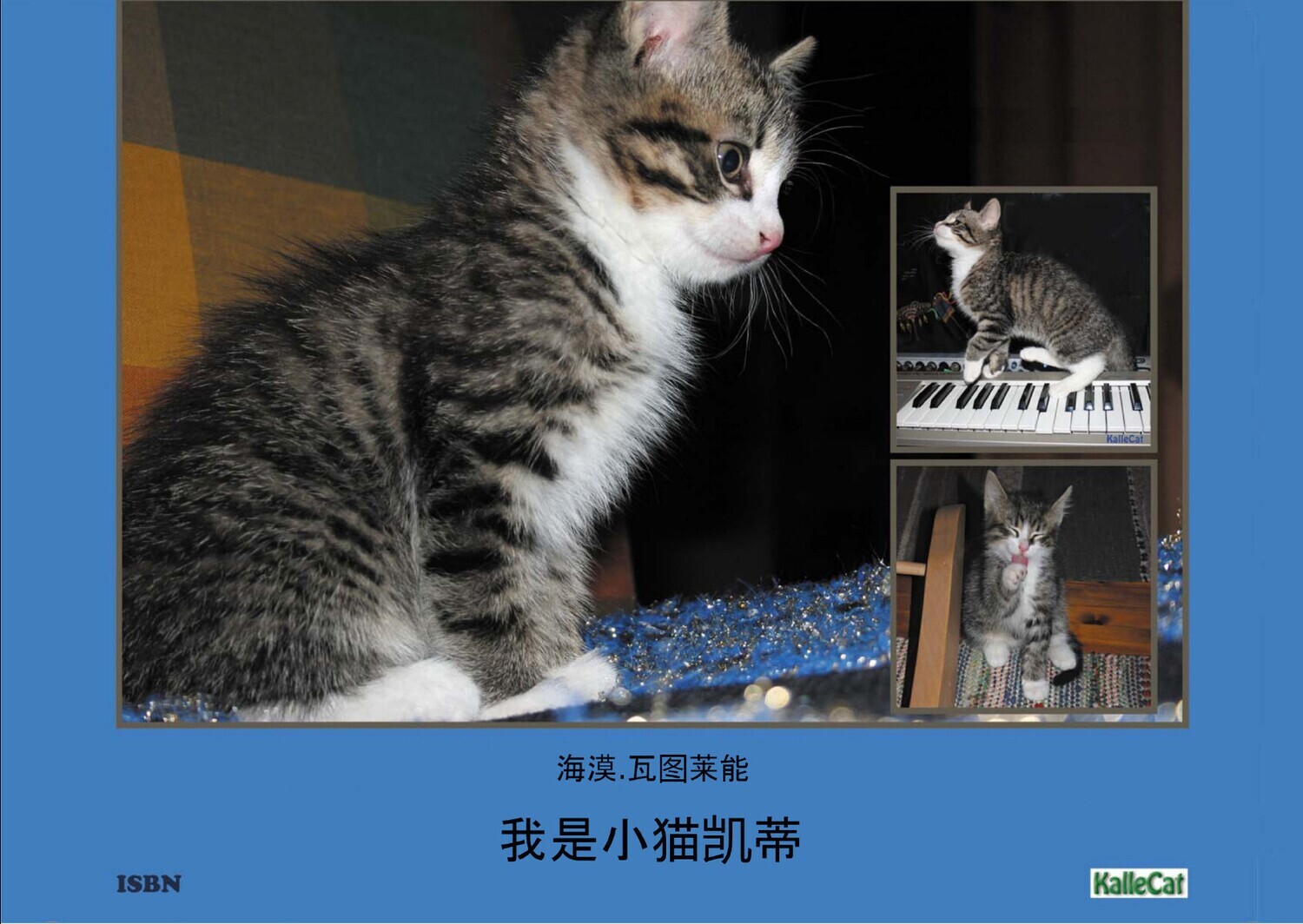 我是小猫凯蒂: 照片书 - e Photo Book - pdf - 中文