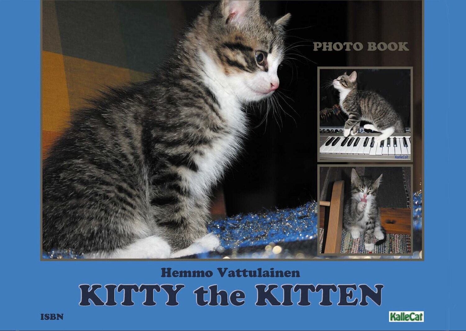 Kitty the Kitten - e Photo Book - pdf - English