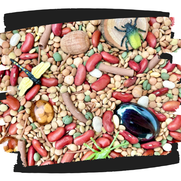 Insect themed sensory kit for sensory play with non-toxic dyed pasta, lentil and bean mixed sensory filler.