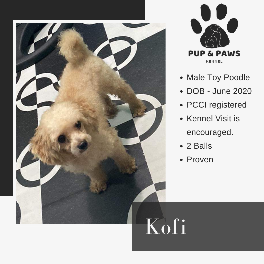 Kofi