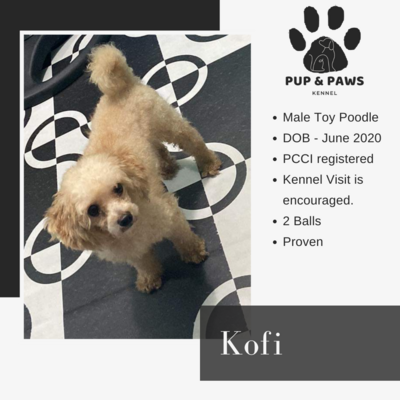 Kofi
