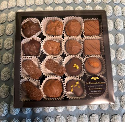 Boîte de Luxe 16 Pralinés Artisanaux Assortis - Chocolat Suisse Fait Main | Laufenburg