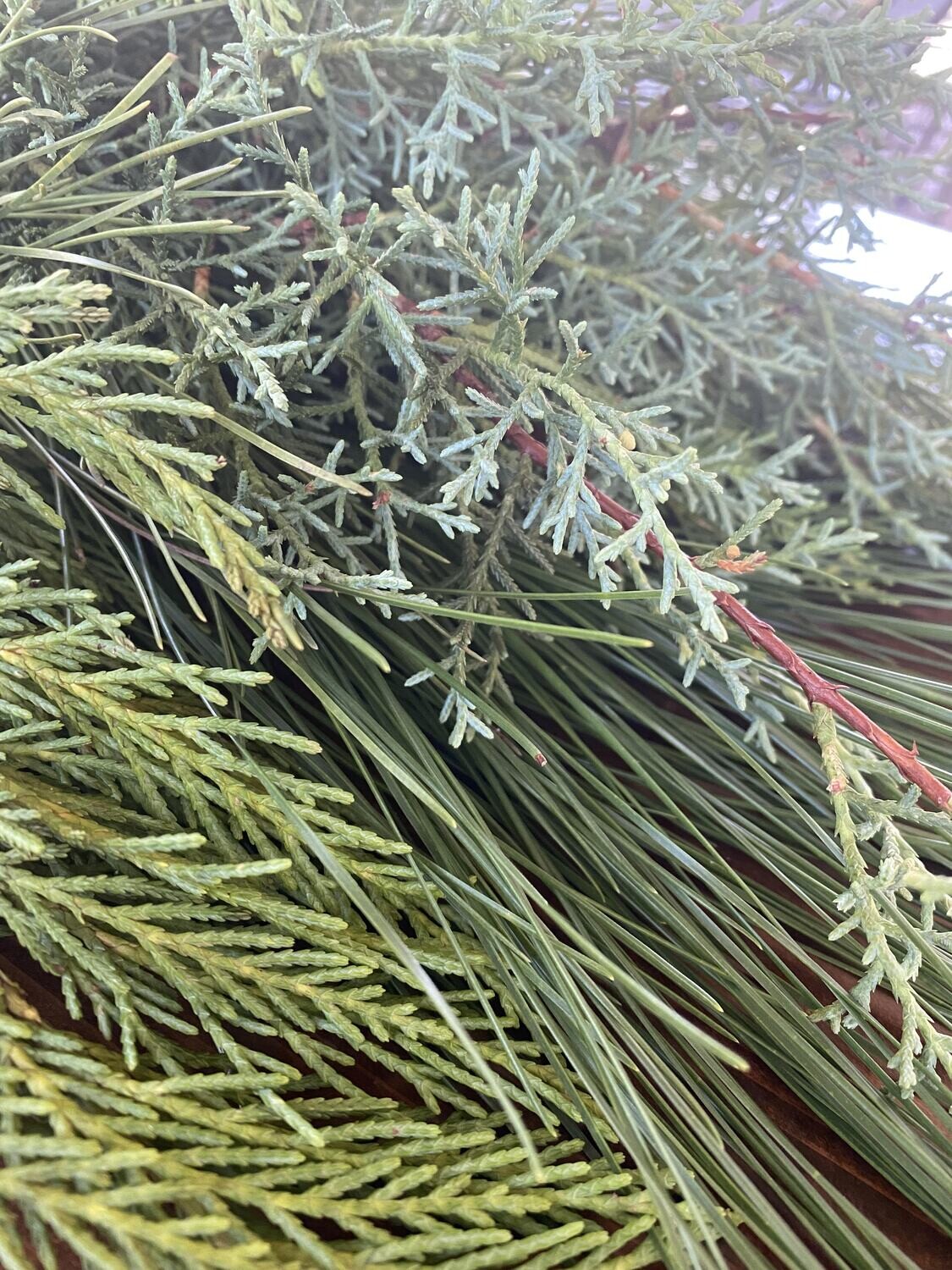 Fresh Mixed Evergreen Garland