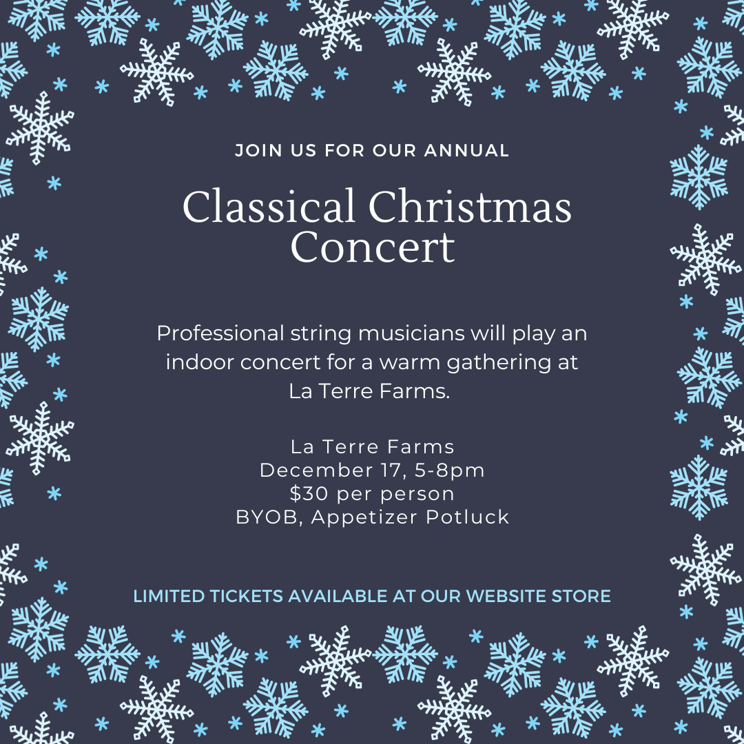 Christmas Concert - December 17th