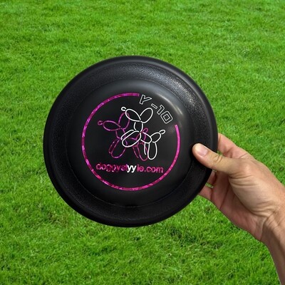 Disc